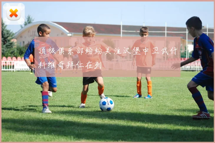 顶级俱乐部纷纷关注汉堡中卫武什科维奇拜仁在列