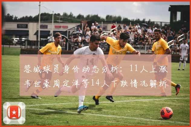 蓉城球员身价动态分析:11人上涨韦世豪周定洋等14人下跌情况解析