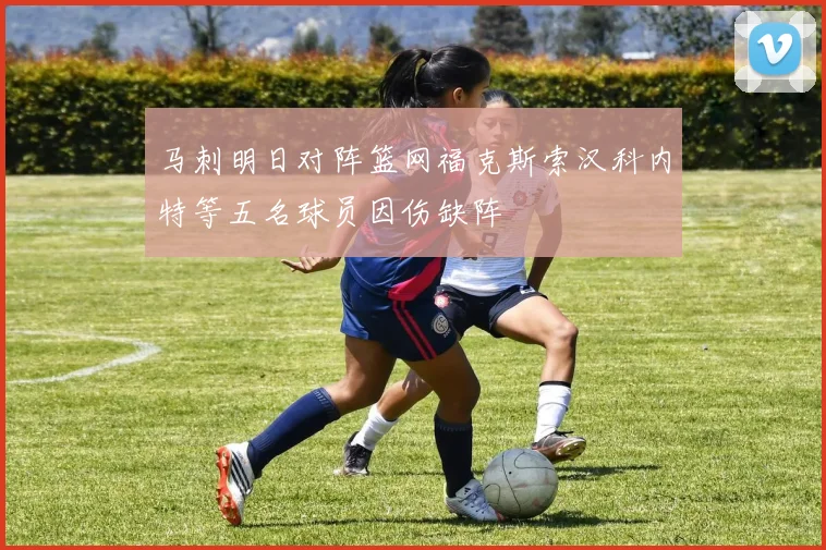 马刺明日对阵篮网福克斯索汉科内特等五名球员因伤缺阵